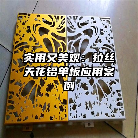 实用又美观:拉丝天花铝单板应用案例